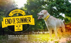 U subotu druženje sa vlasnicima i ljubiteljima pasa na Vilsonovom šetalištu