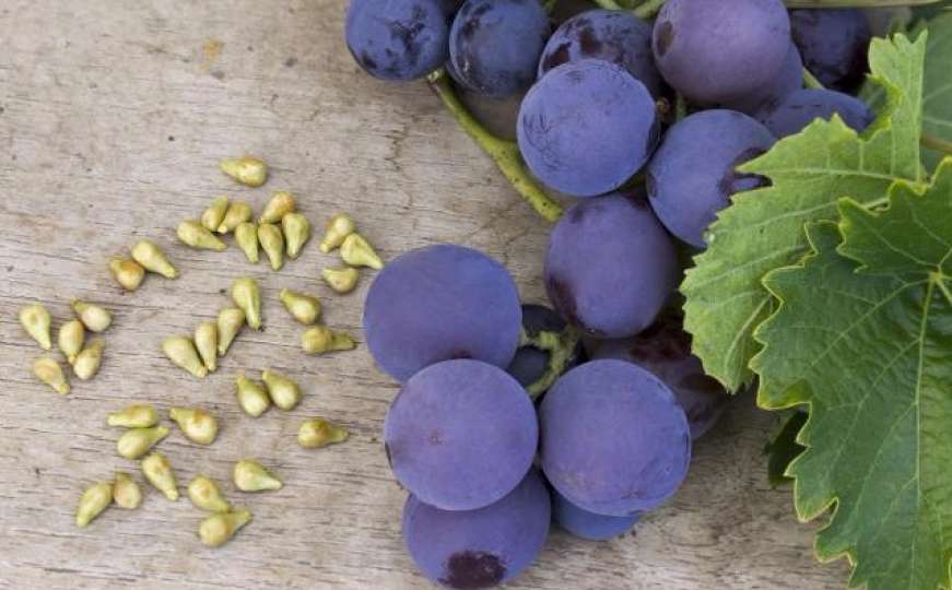 Sjemenke grožđa: Snažan antioksidans i čuvar zdravlja