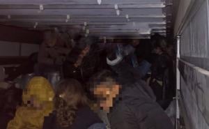 Njemačko-poljska granica: U turskom kamionu otkriven 51 migrant