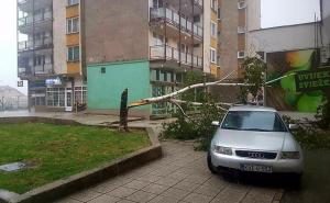 Jak vjetar čupao stabla u Sarajevu, na snazi narandžasti meteoalarm