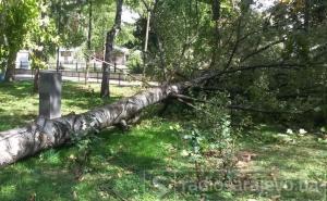 Olujno nevrijeme dizalo krovove s kuća u Kupresu i Tomislavgradu
