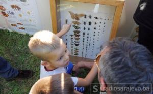 Noć koja muzejima i profesorima budi nadu da nauka nije sahranjena u BiH