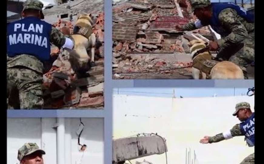 Hrabra kujica spasila živote žrtvama potresa u Mexico Cityju