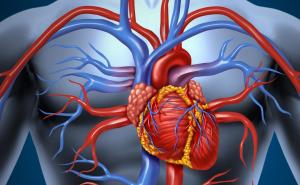 Prevencija kardiovaskularnih oboljenja