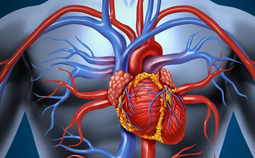 Prevencija kardiovaskularnih oboljenja