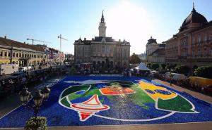 Svjetski rekord u Novom Sadu: Napravili mozaik od 1.3 miliona plastičnih čepova