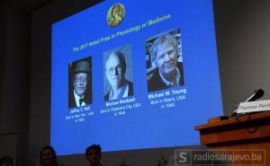 Nobelova nagrada za medicinu dodijeljena trojici američkih naučnika