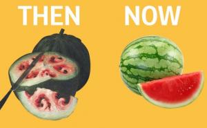 Voće i povrće je izgledalo drukčije u prošlosti