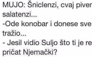 Mujo u Njemačkoj