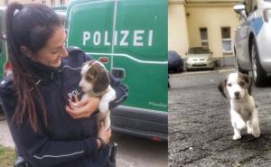 Priča o štenetu bigla oduševila, a onda rastužila ljubitelje životinja