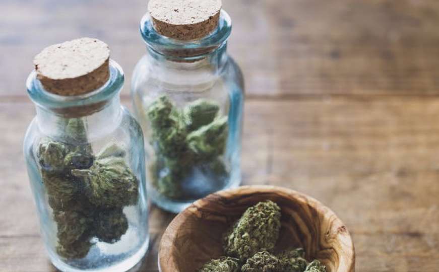 Javna tribina "Legalizacija marihuane u medicinske svrhe"