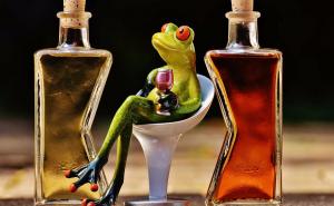  Alkoholičari su i oni "koji samo vole popiti"