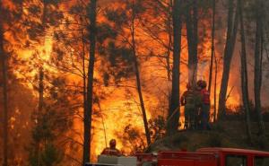 U požarima u Portugalu i Španiji od nedjelje poginulo 35 osoba