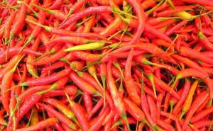 Čili papričice kao analgetik, antibiotik i antiseptik