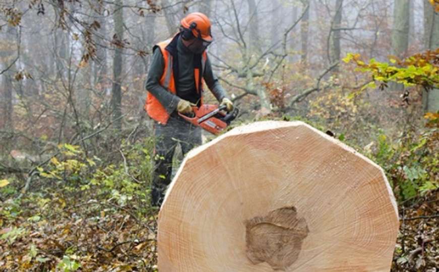 Ćatić: Radnicima u šumarstvu treba jak i stabilan sindikat