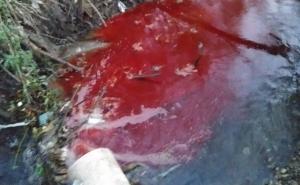 Krv iz pogona Bajre se izlijeva u Lašvu, inspekcija smatra da je to normalno