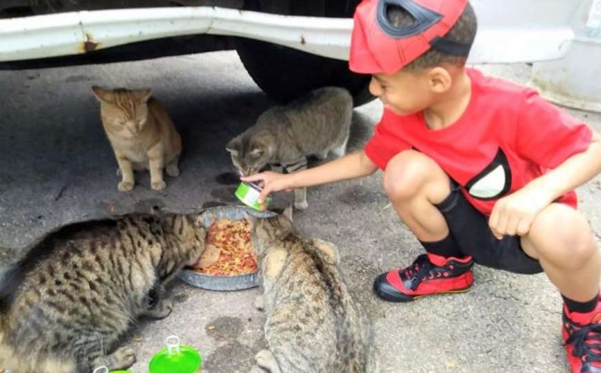 Petogodišnjak se oblači kao superjunak da bi pomogao uličnim mačkama