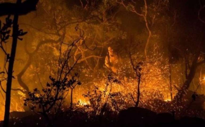 Požar razorio nacionalni park Chapada dos Veadeiros