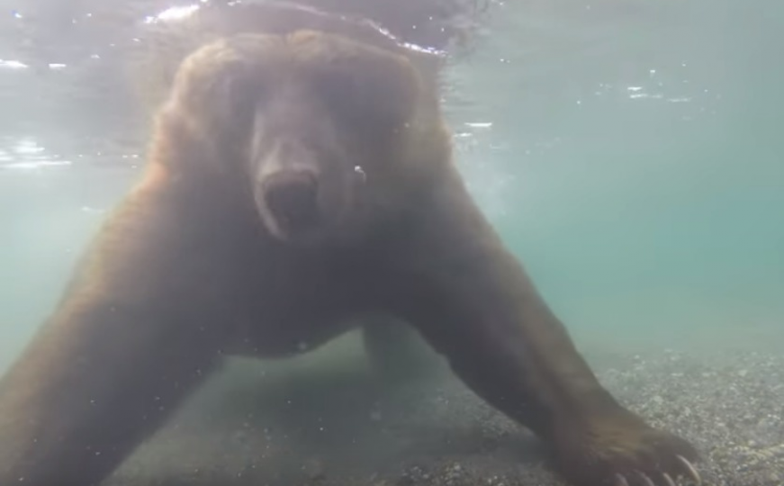 Nevjerovatan video: Lov pod vodom