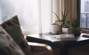 Naučnici ispitali: Kućne biljke koje čuvaju vaše zdravlje