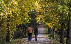 Istanbul: Park stabala odmor za tijelo i dušu