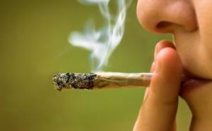 Ljudi koji puše marihuanu češće se seksaju