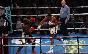 Zvižduci publike i kontroverzna odluka sudije: Joshua pobijedio kamerunskog Rockyja