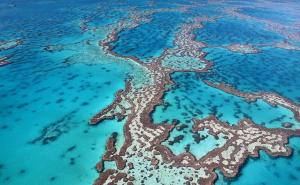 Najplavlja mjesta na planeti