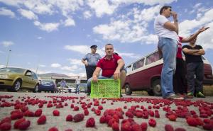 Proizvođači malina u BiH ove godine u gubitku