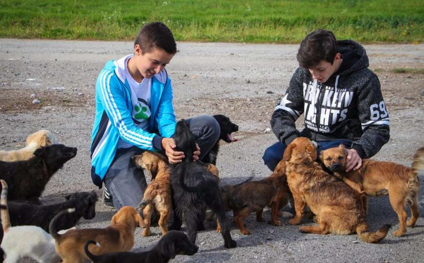 Bogdan i Nemanja iz Modriče spašavaju i udomljavaju štence i mačiće