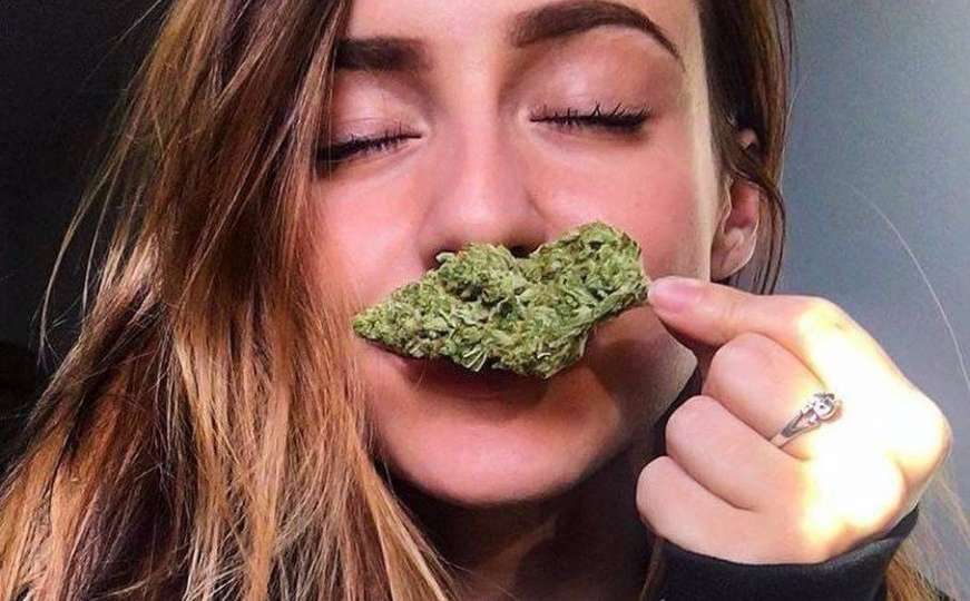 Nauka o travi: Koje su koristi, a koje štete od pušenja marihuane