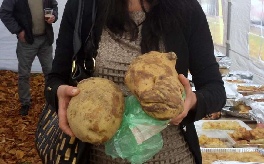 Glamoč: Najveći krompir težio 2.140 grama