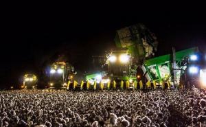 Najbolja optička iluzija godine: Prepoznajete li šta je na slici