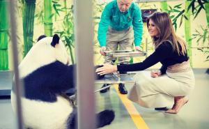 Nije znala: Melania Trump mazila pandu koja je više puta napadala ljude 