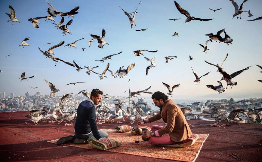 Prizor za razglednice: Šolja toplog čaja uz galebove iznad Istanbula