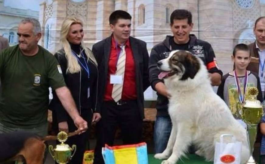 Tornjak iz Livna osvojio prvo mjesto na World Dog Showu