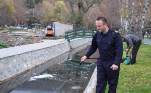 Ohrid: Brod tonuo, izlila se nafta u kanal povezan s čuvenim jezerom