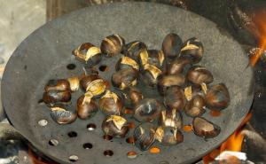 Kesten: Uživajte u zdravoj i ukusnoj poslastici 