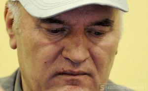 Pročitajte po kojim tačkama optužnice je osuđen Ratko Mladić