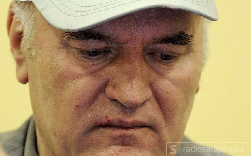 Pročitajte po kojim tačkama optužnice je osuđen Ratko Mladić