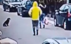 Medo junak Podgorice: Pogledajte kako je pas lutalica odbranio ženu od lopova
