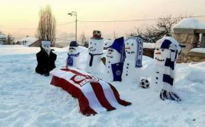 Zimske radosti i tuge