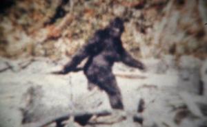  DNK analiza devet uzoraka pokazala: Jeti je medvjed ili pas