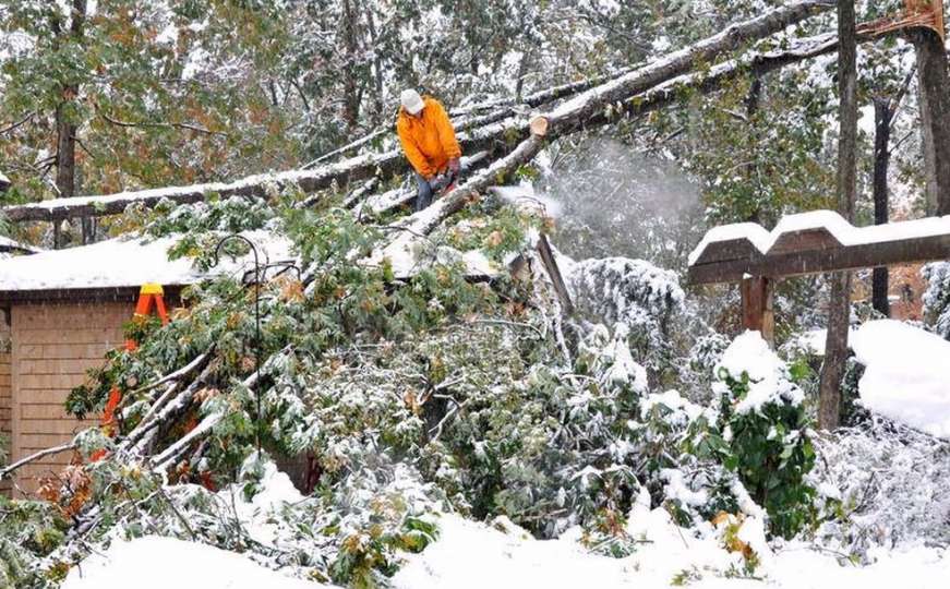 Od težine snijega: Drvo palo na zgradu na Vracama