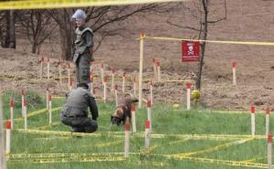 Bosna i Hercegovina je minama najzagađenija zemlja u Evropi