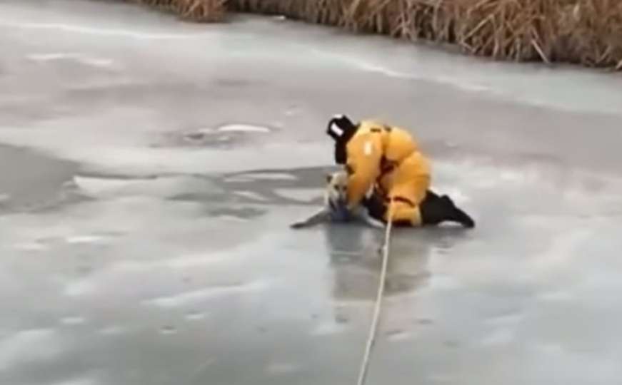Vatrogasci spasili psa zarobljenog u zaleđenom potoku