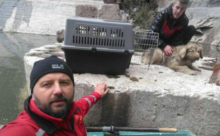 GSS Jablanica spasio psa s brane Jablaničkog jezera: Bio zarobljen dva mjeseca