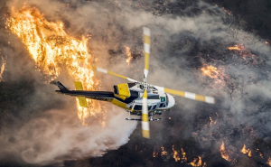 Požari gutaju Los Angeles: Evakuirano više od 200.000 ljudi 