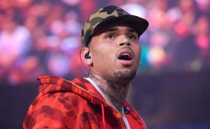  Fanovi "popljuvali" Chrisa Browna zbog neobičnog kućnog ljubimca