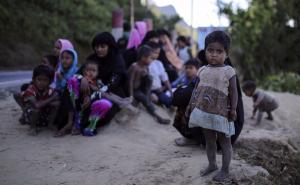 Prikupljeno 500.000 KM: Akcija Odbora za podršku narodu Rohinja